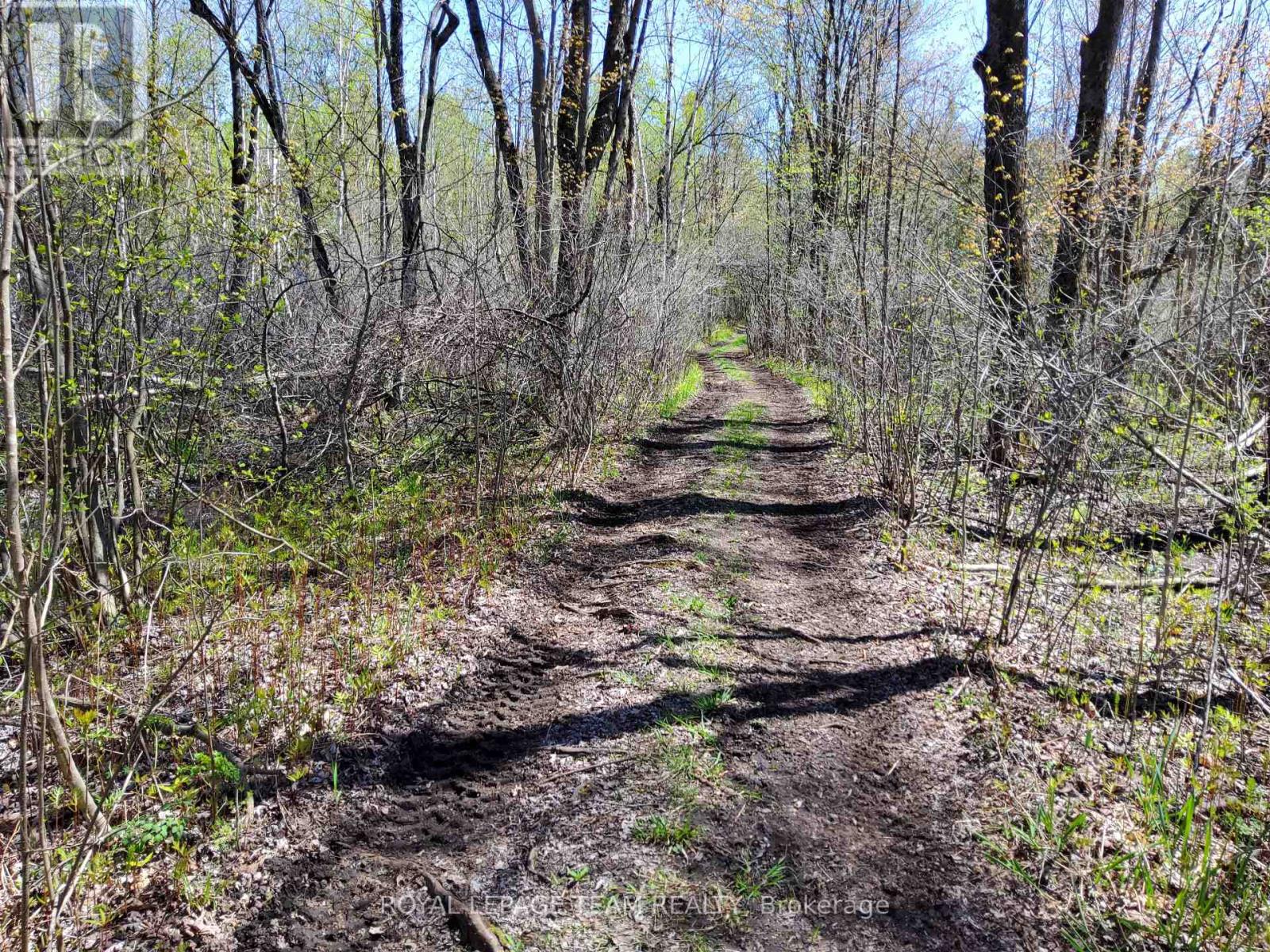 0 Totem Ranch Road, , Ontario  K0G 1T0 - Photo 6 - X12146589