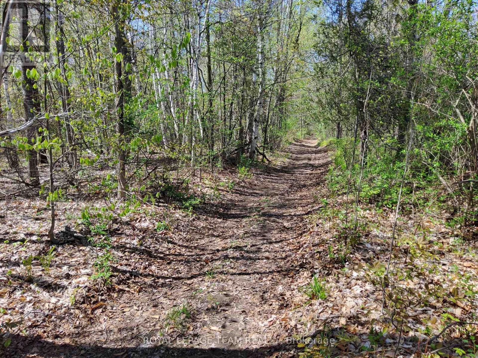 0 Totem Ranch Road, , Ontario  K0G 1T0 - Photo 8 - X12146589