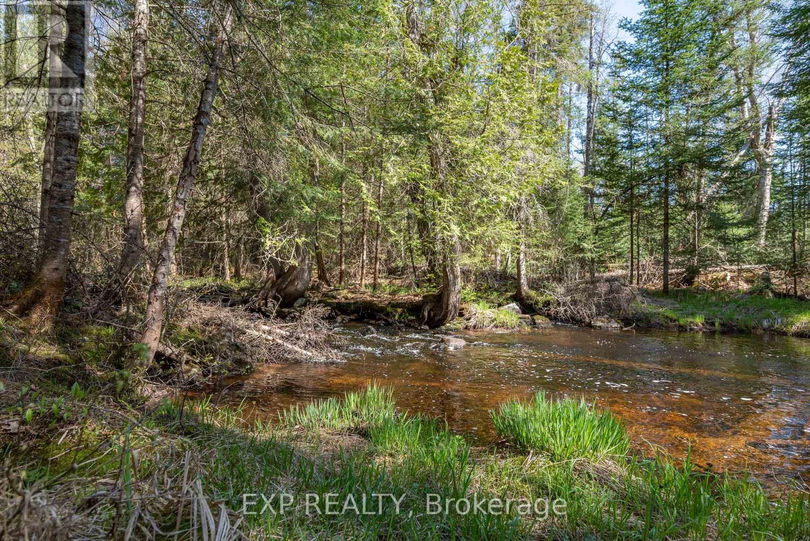 5490 Loop Road, Highlands East, Ontario  K0L 2A0 - Photo 32 - X12146643