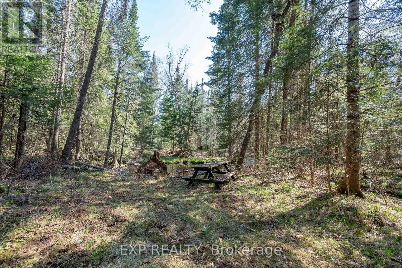 5490 Loop Road, Highlands East, Ontario  K0L 2A0 - Photo 33 - X12146643