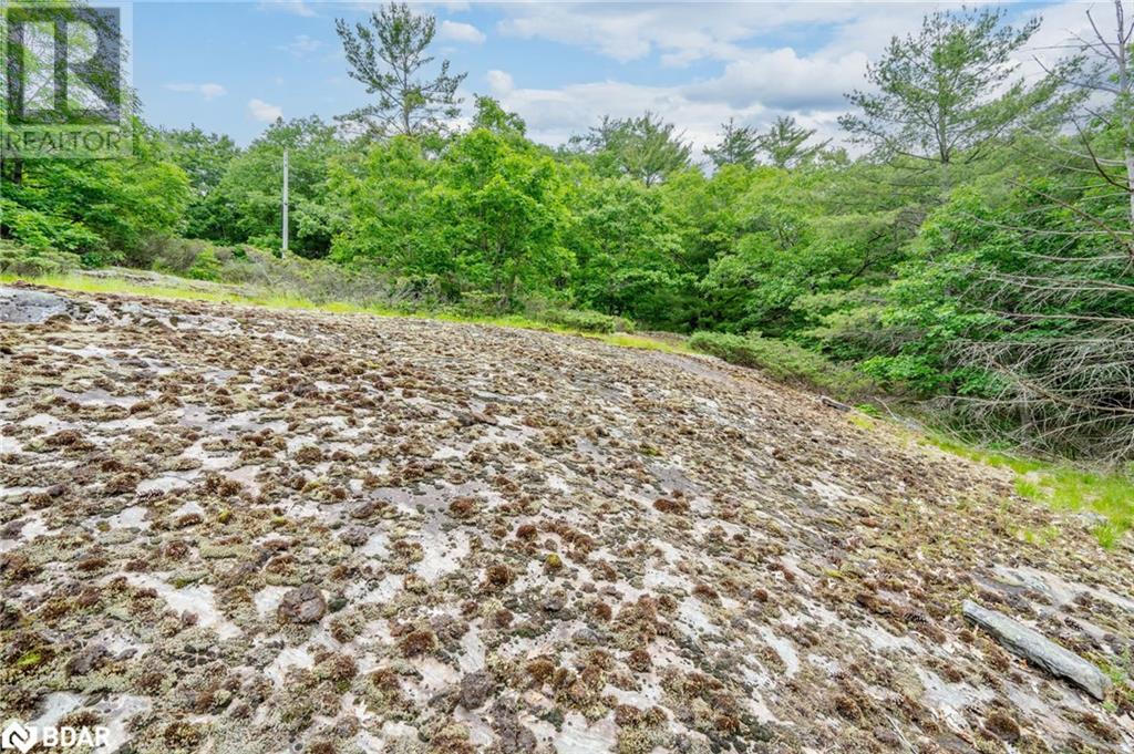Lot 2 Delta Road, Washago, Ontario  L0K 2B0 - Photo 13 - 40727951