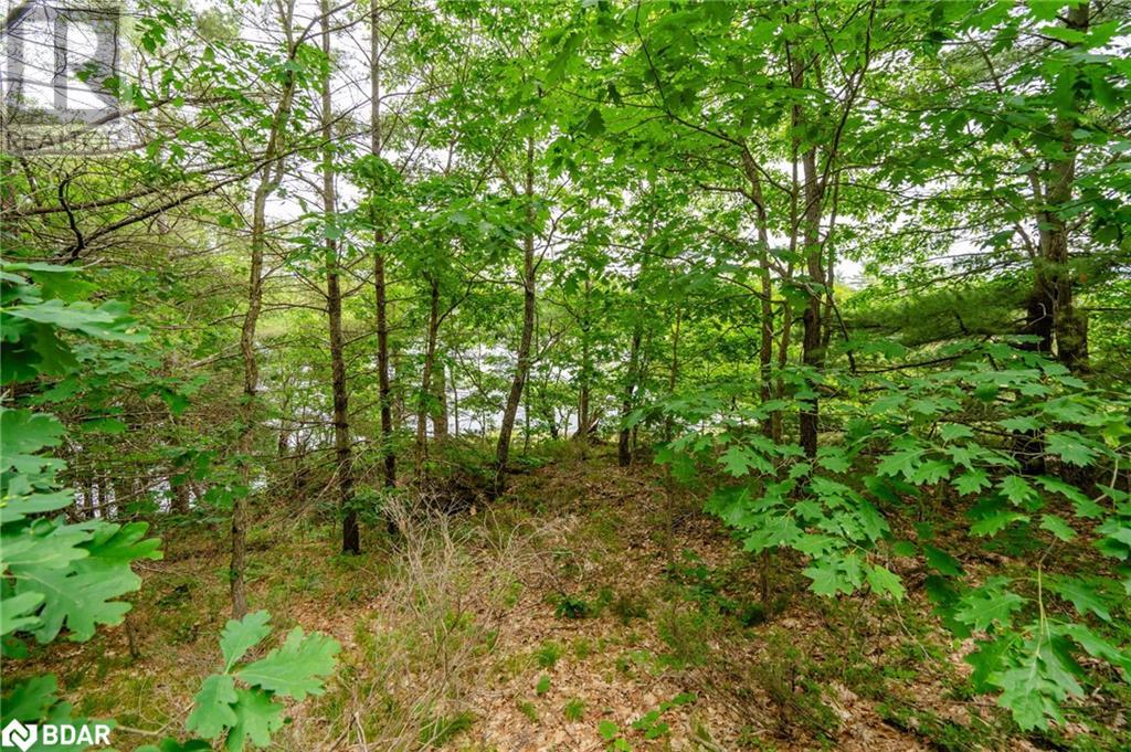 Lot 2 Delta Road, Washago, Ontario  L0K 2B0 - Photo 22 - 40727951