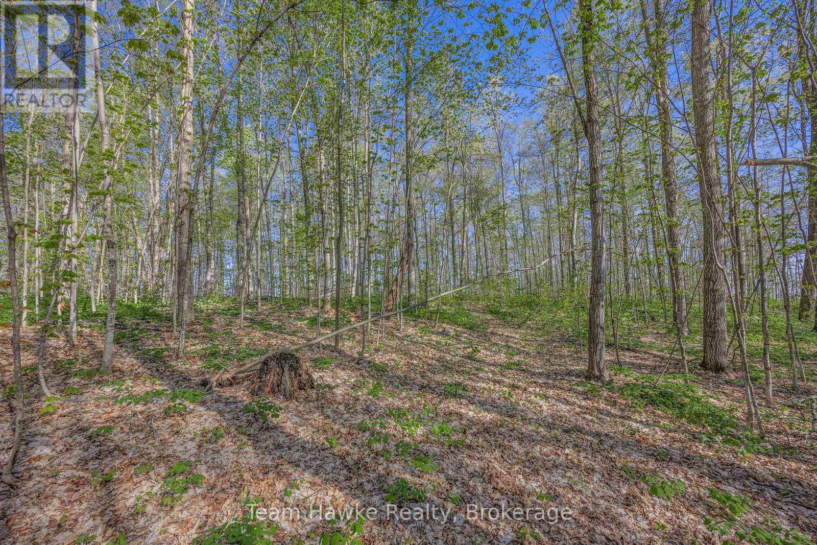 1998 Old Fort Road, Tay, Ontario  L4R 4K3 - Photo 10 - S12146902