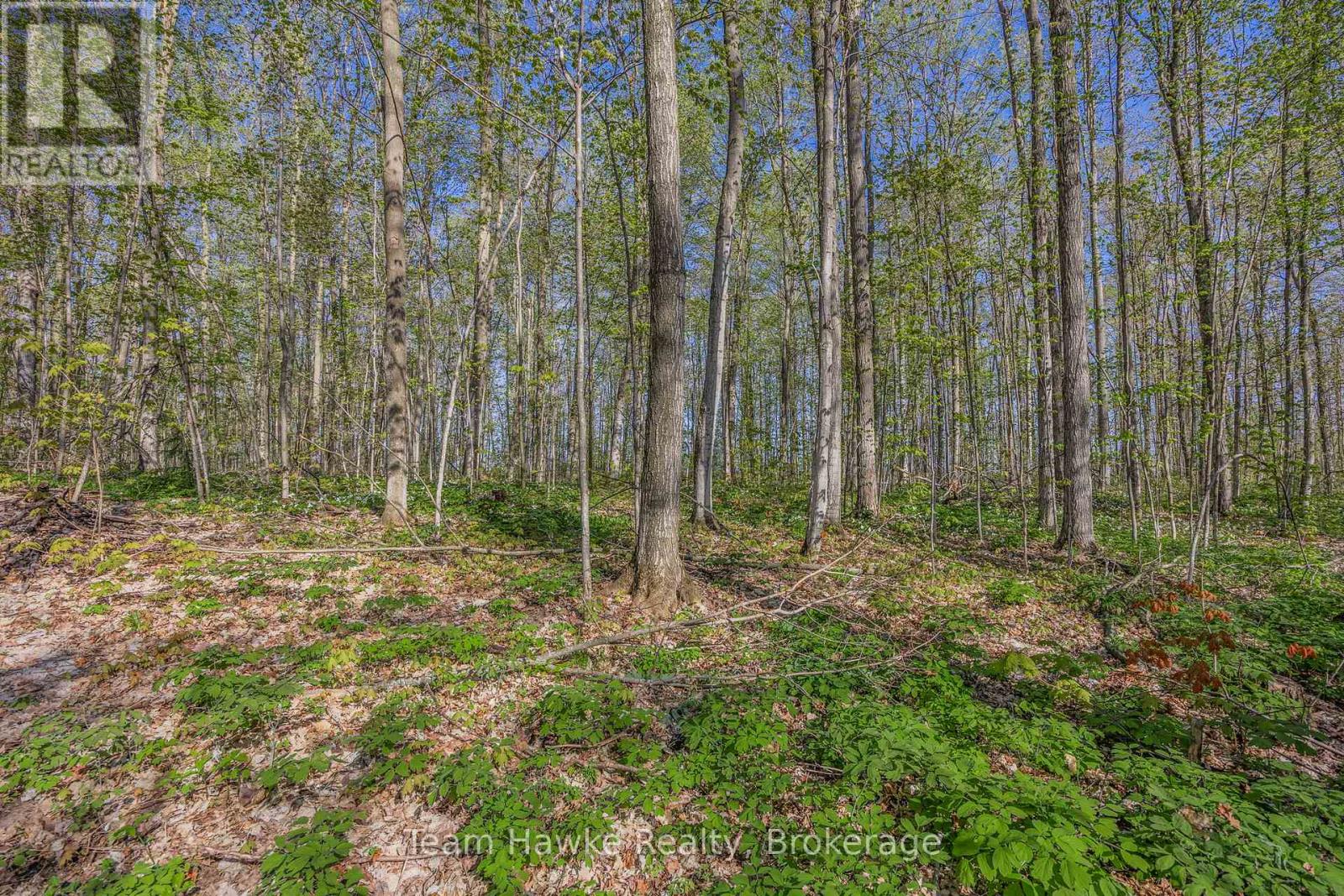 1998 Old Fort Road, Tay, Ontario  L4R 4K3 - Photo 11 - S12146902