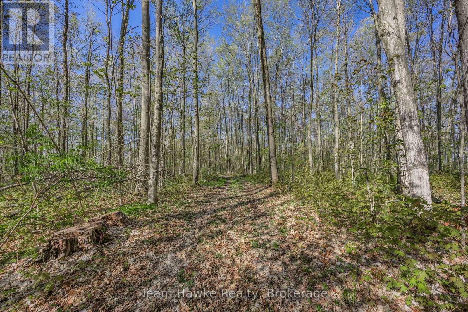 1998 Old Fort Road, Tay, Ontario  L4R 4K3 - Photo 12 - S12146902