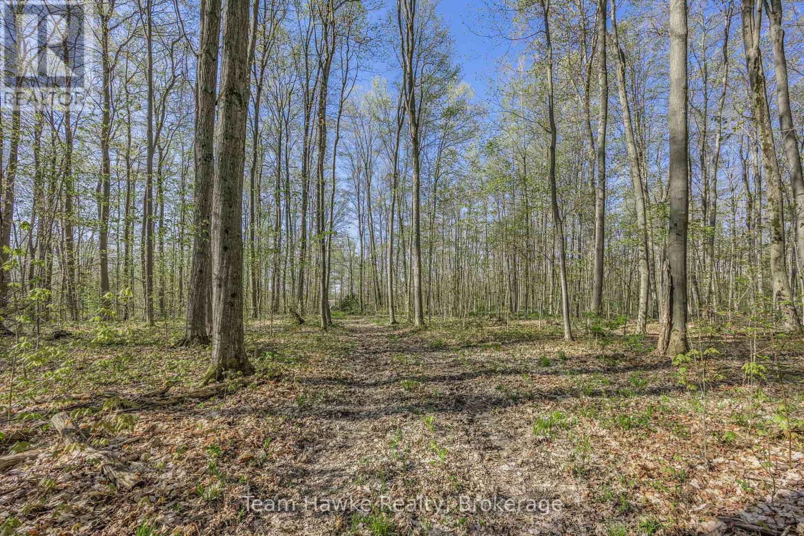 1998 Old Fort Road, Tay, Ontario  L4R 4K3 - Photo 13 - S12146902