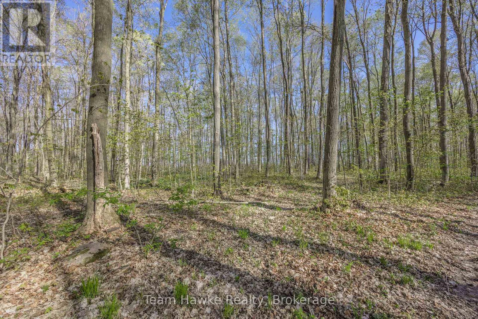 1998 Old Fort Road, Tay, Ontario  L4R 4K3 - Photo 14 - S12146902