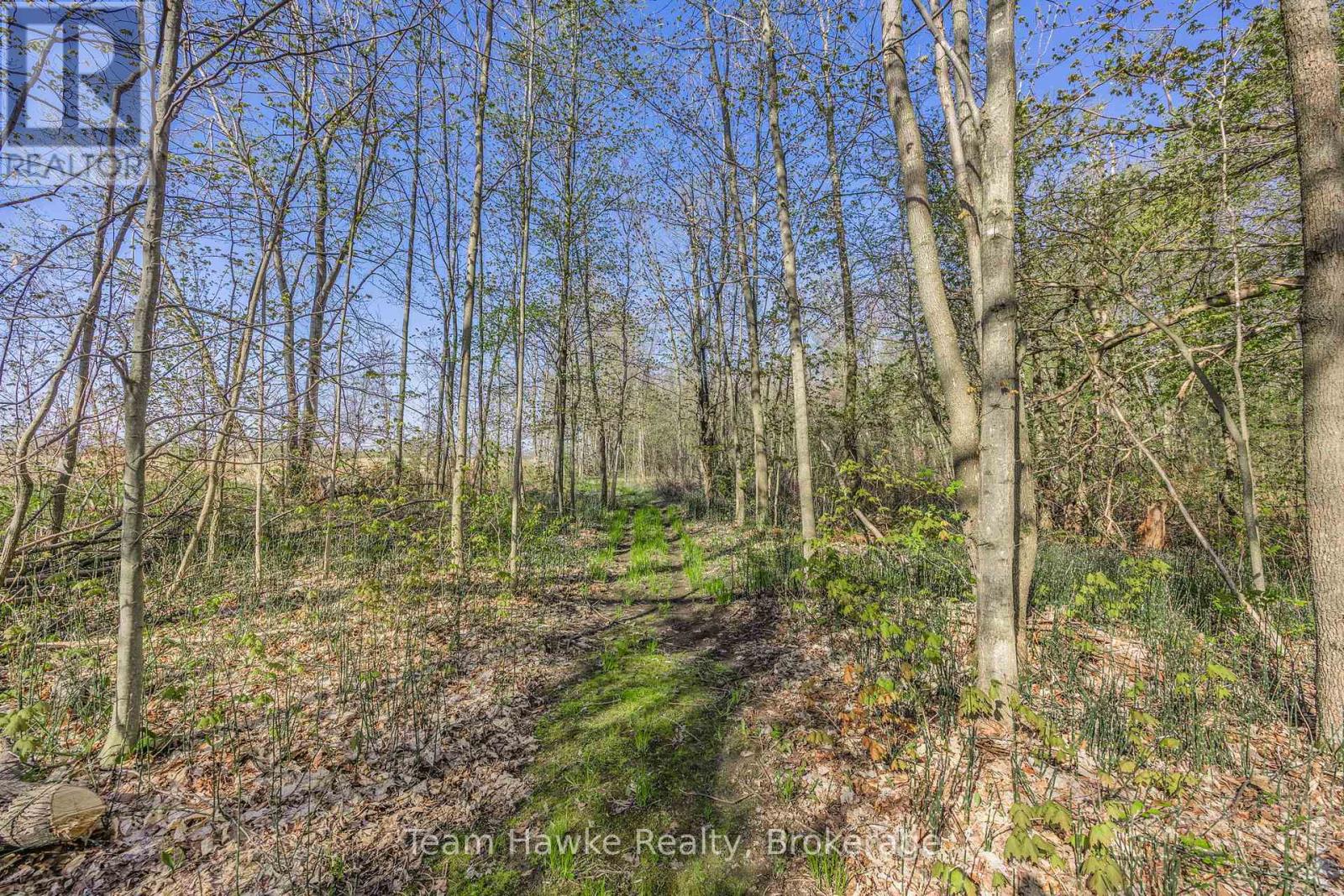 1998 Old Fort Road, Tay, Ontario  L4R 4K3 - Photo 18 - S12146902