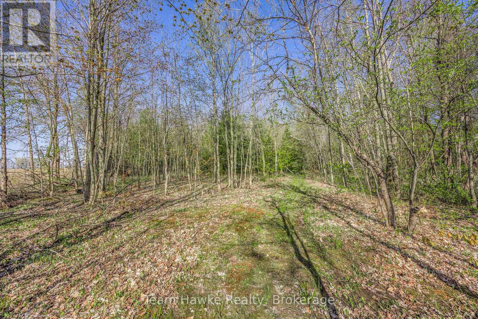 1998 Old Fort Road, Tay, Ontario  L4R 4K3 - Photo 19 - S12146902