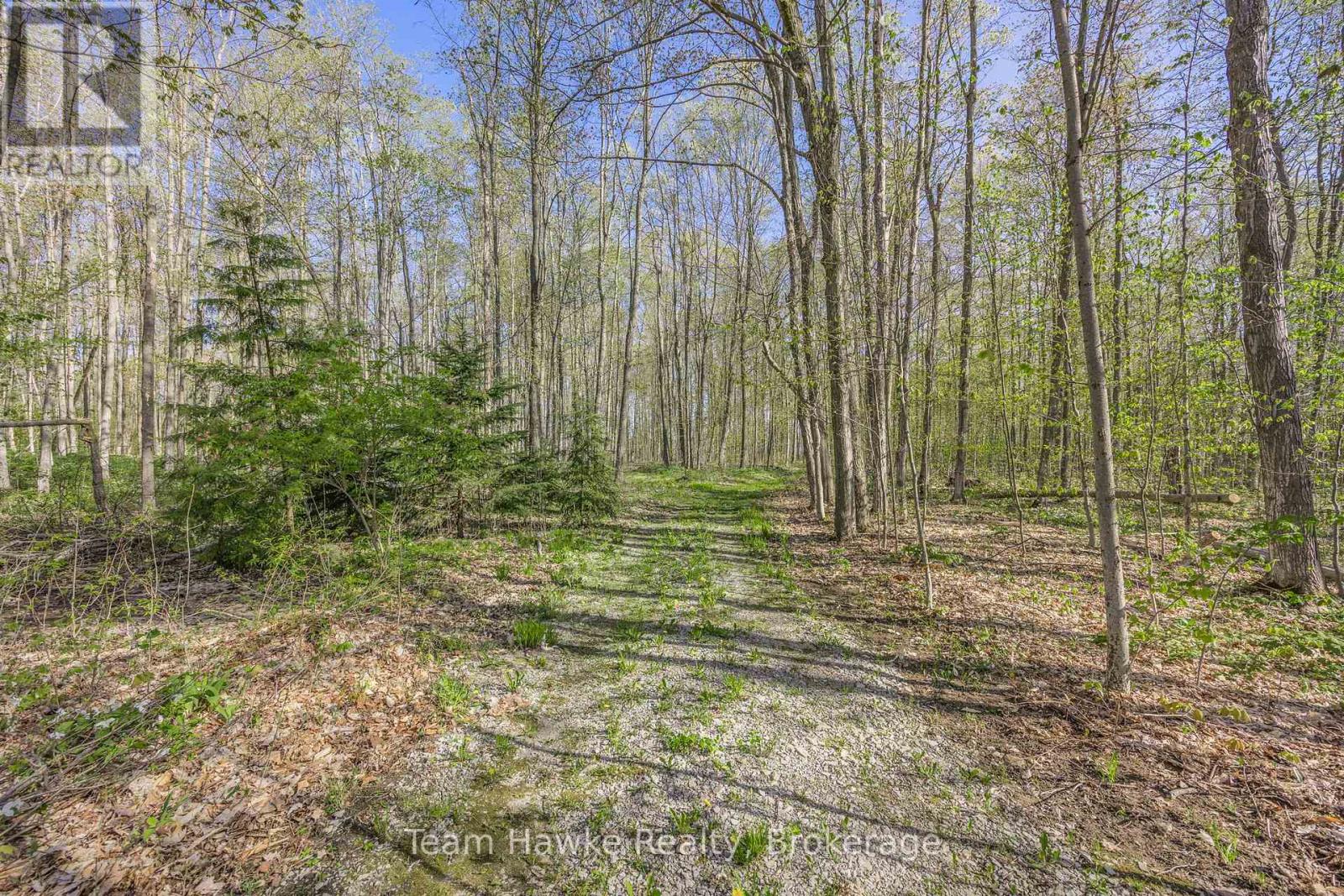 1998 Old Fort Road, Tay, Ontario  L4R 4K3 - Photo 20 - S12146902