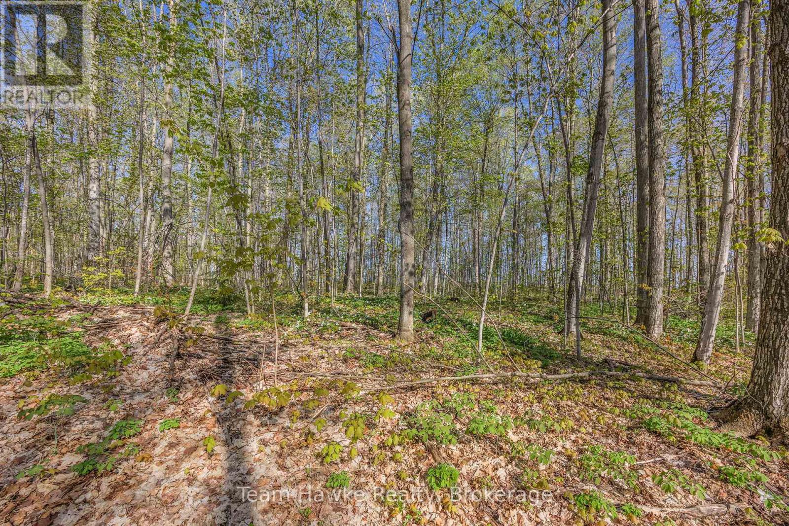 1998 Old Fort Road, Tay, Ontario  L4R 4K3 - Photo 23 - S12146902