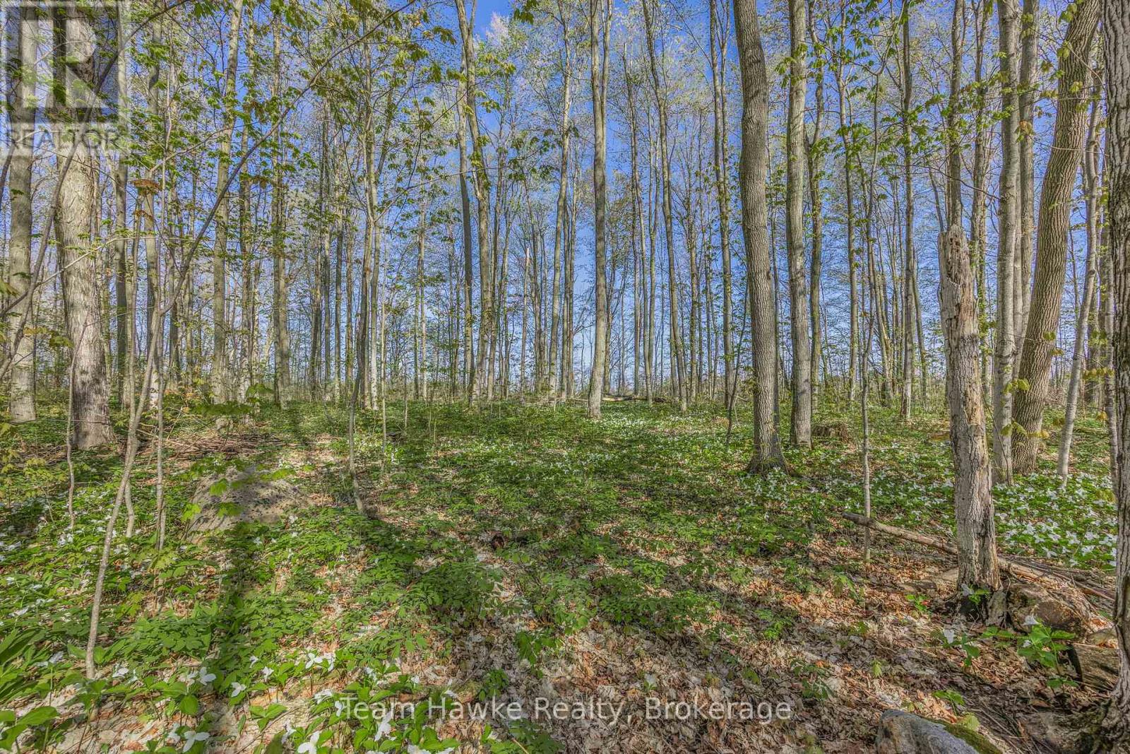 1998 Old Fort Road, Tay, Ontario  L4R 4K3 - Photo 26 - S12146902