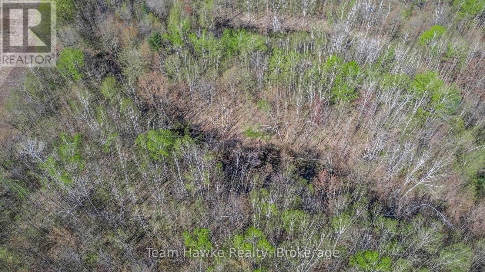 1998 Old Fort Road, Tay, Ontario  L4R 4K3 - Photo 28 - S12146902