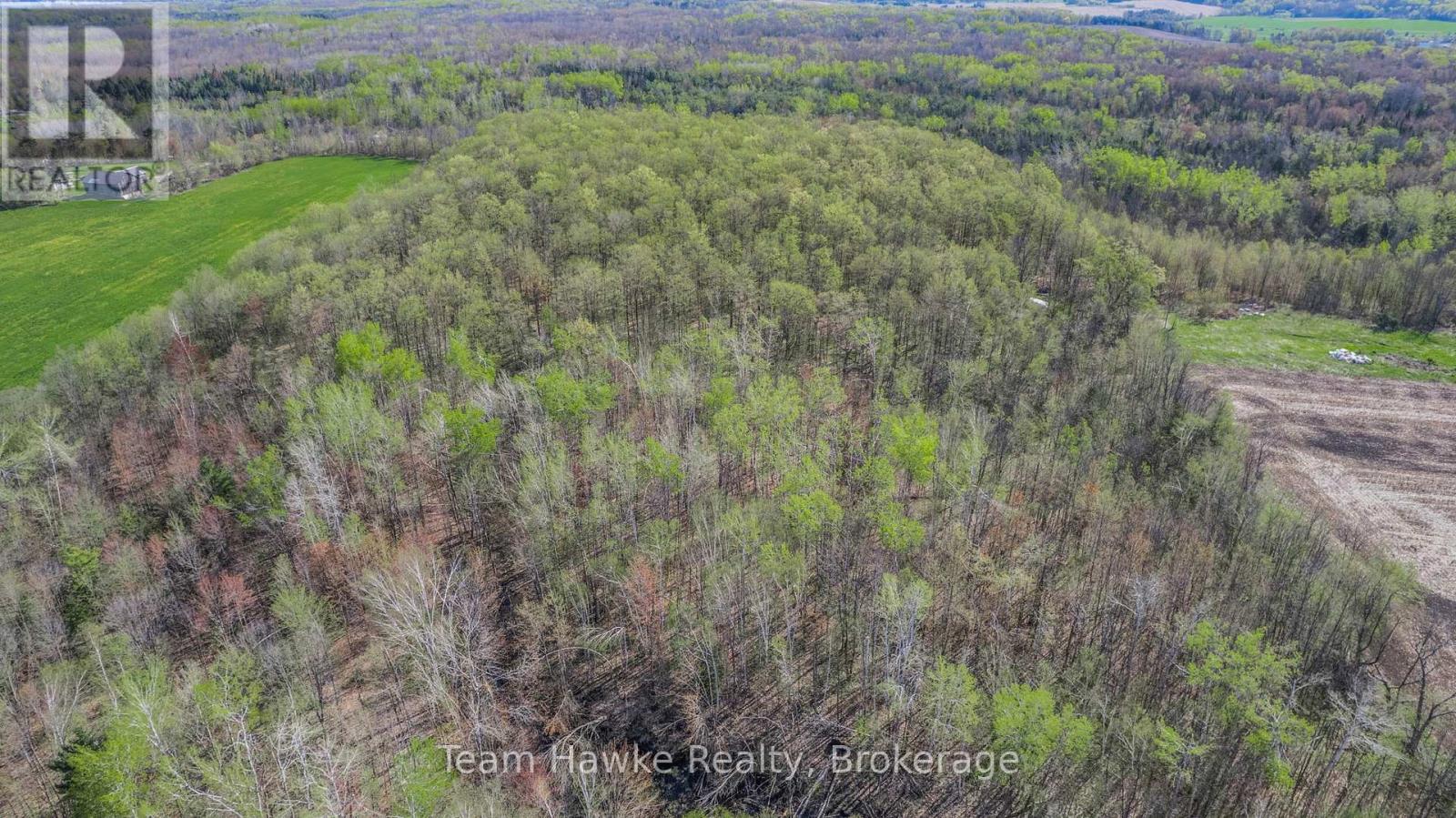 1998 Old Fort Road, Tay, Ontario  L4R 4K3 - Photo 32 - S12146902