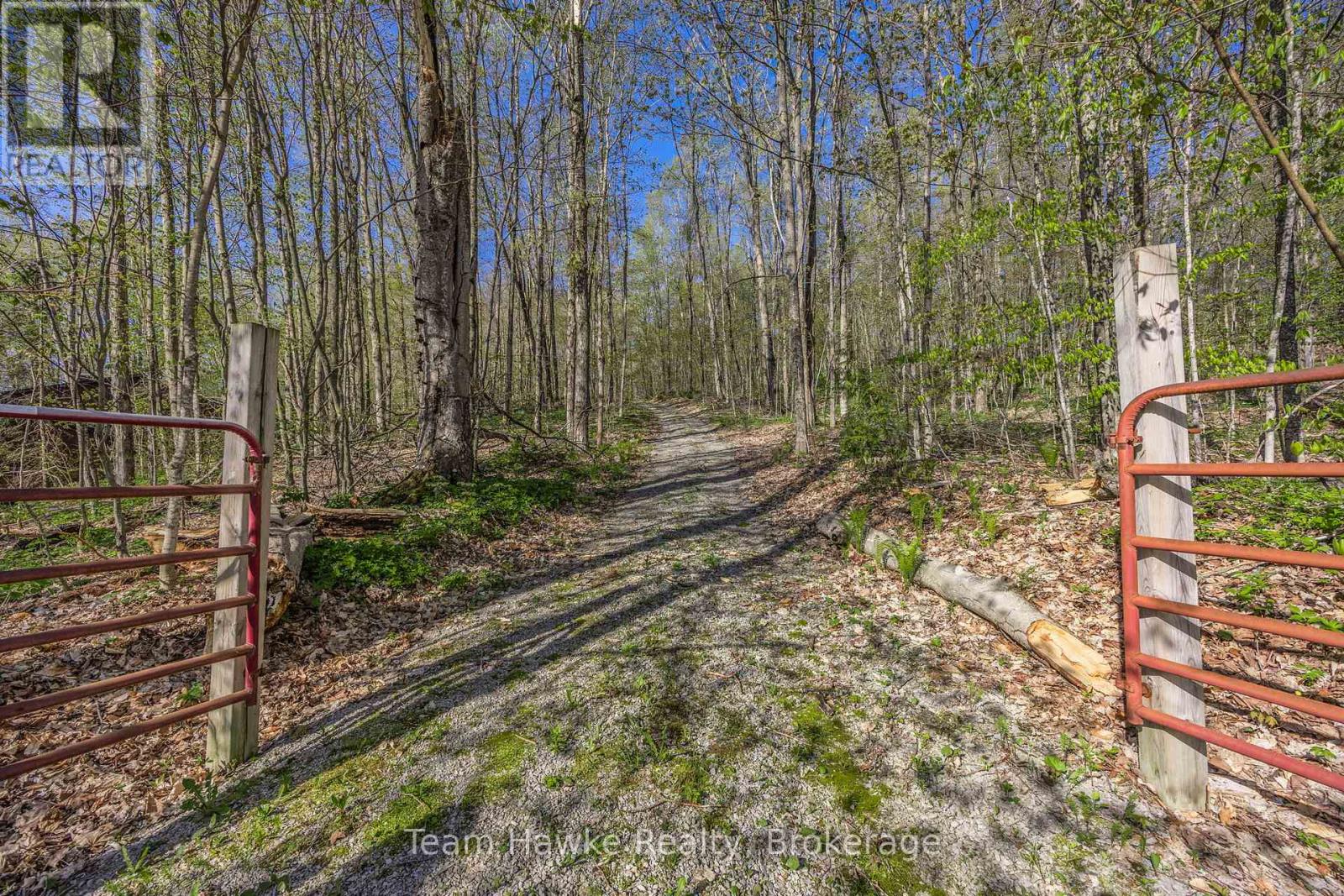 1998 Old Fort Road, Tay, Ontario  L4R 4K3 - Photo 6 - S12146902