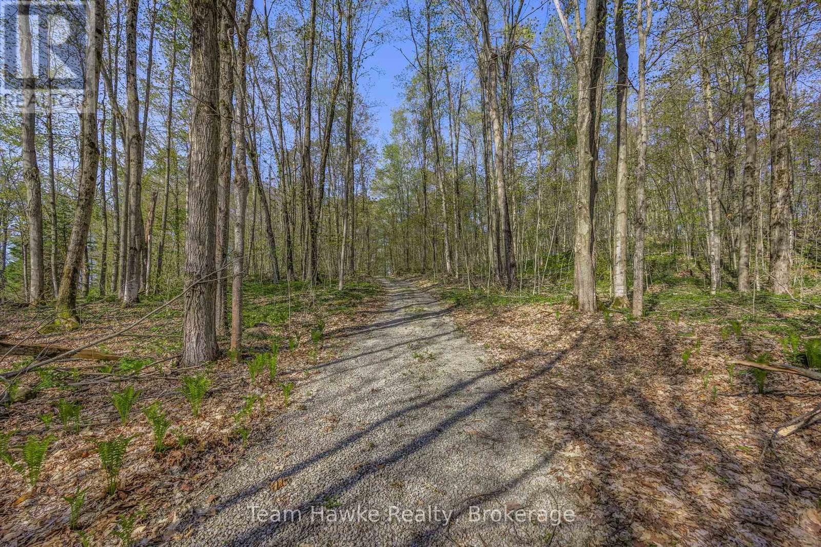 1998 Old Fort Road, Tay, Ontario  L4R 4K3 - Photo 7 - S12146902