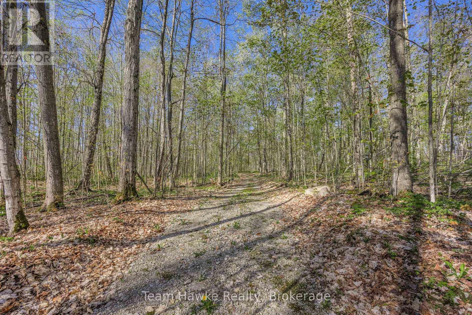 1998 Old Fort Road, Tay, Ontario  L4R 4K3 - Photo 8 - S12146902