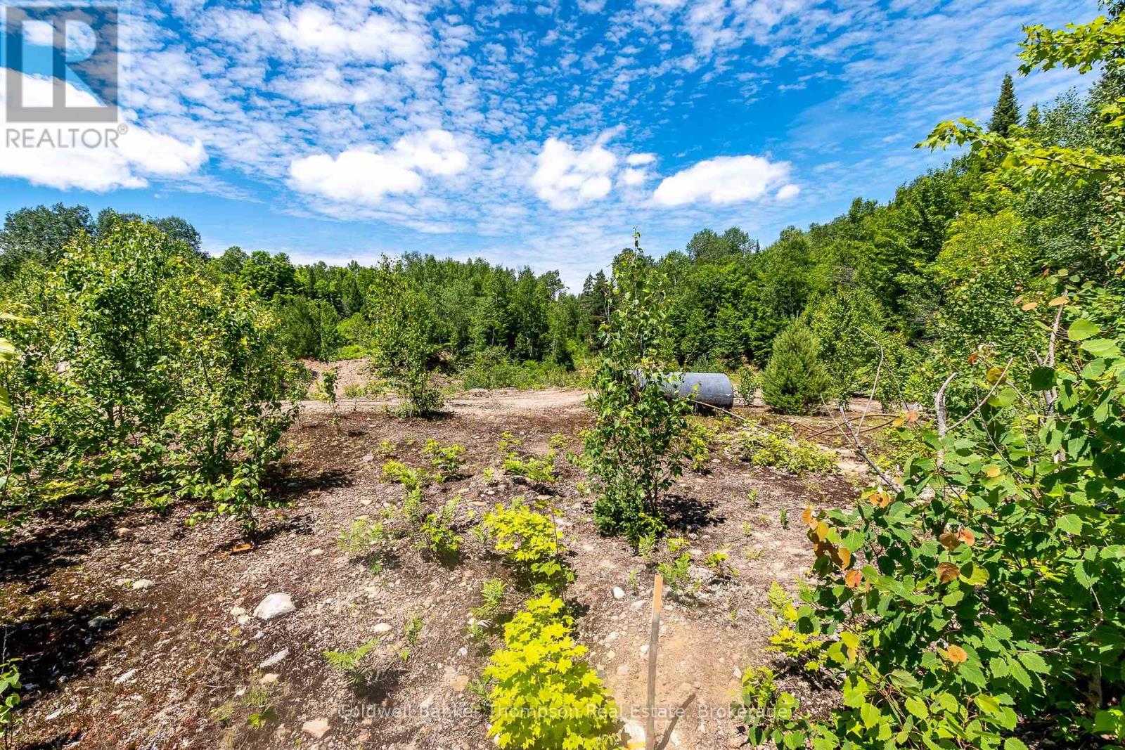 Lot 1 Emsdale Lake Road, Perry, Ontario  P0A 1J0 - Photo 17 - X12146697