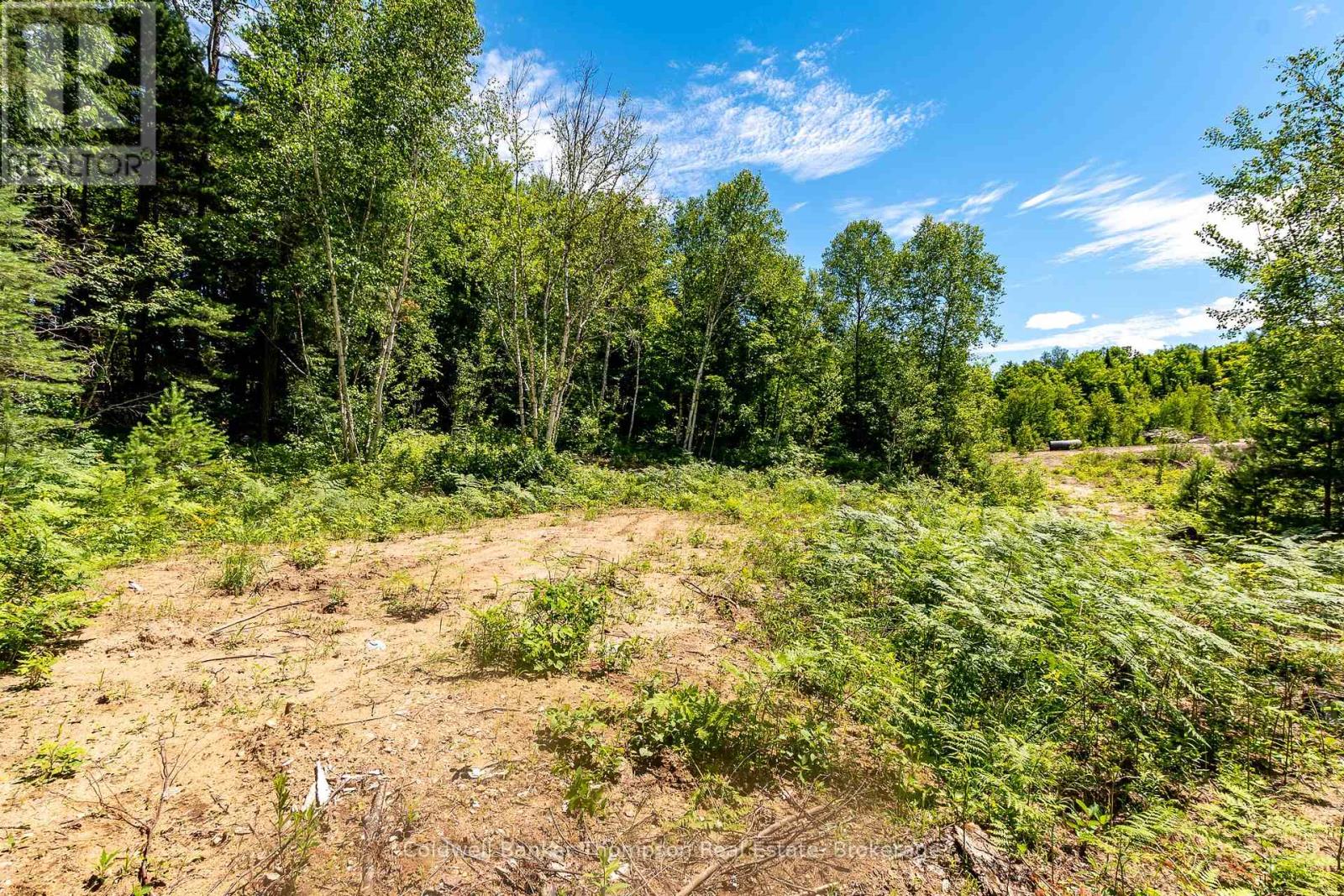 Lot 1 Emsdale Lake Road, Perry, Ontario  P0A 1J0 - Photo 19 - X12146697