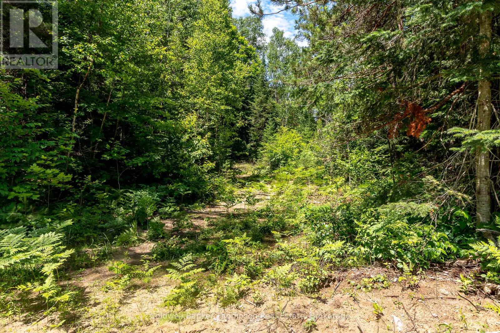 Lot 1 Emsdale Lake Road, Perry, Ontario  P0A 1J0 - Photo 20 - X12146697