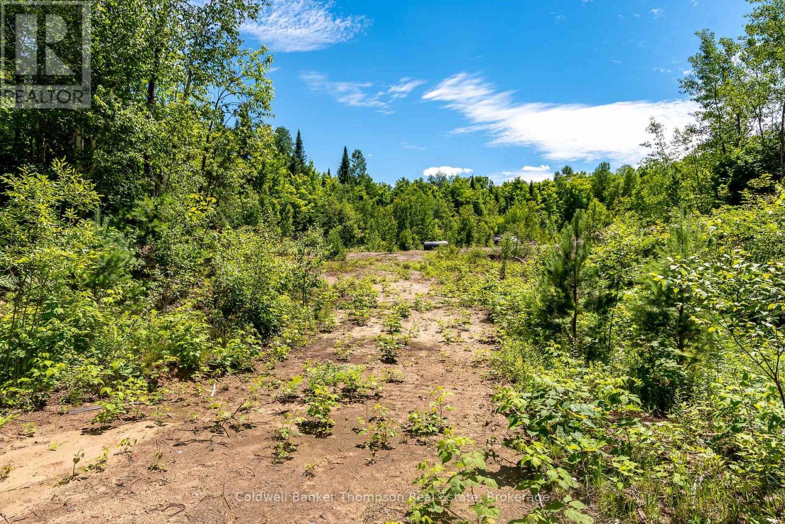 Lot 1 Emsdale Lake Road, Perry, Ontario  P0A 1J0 - Photo 21 - X12146697