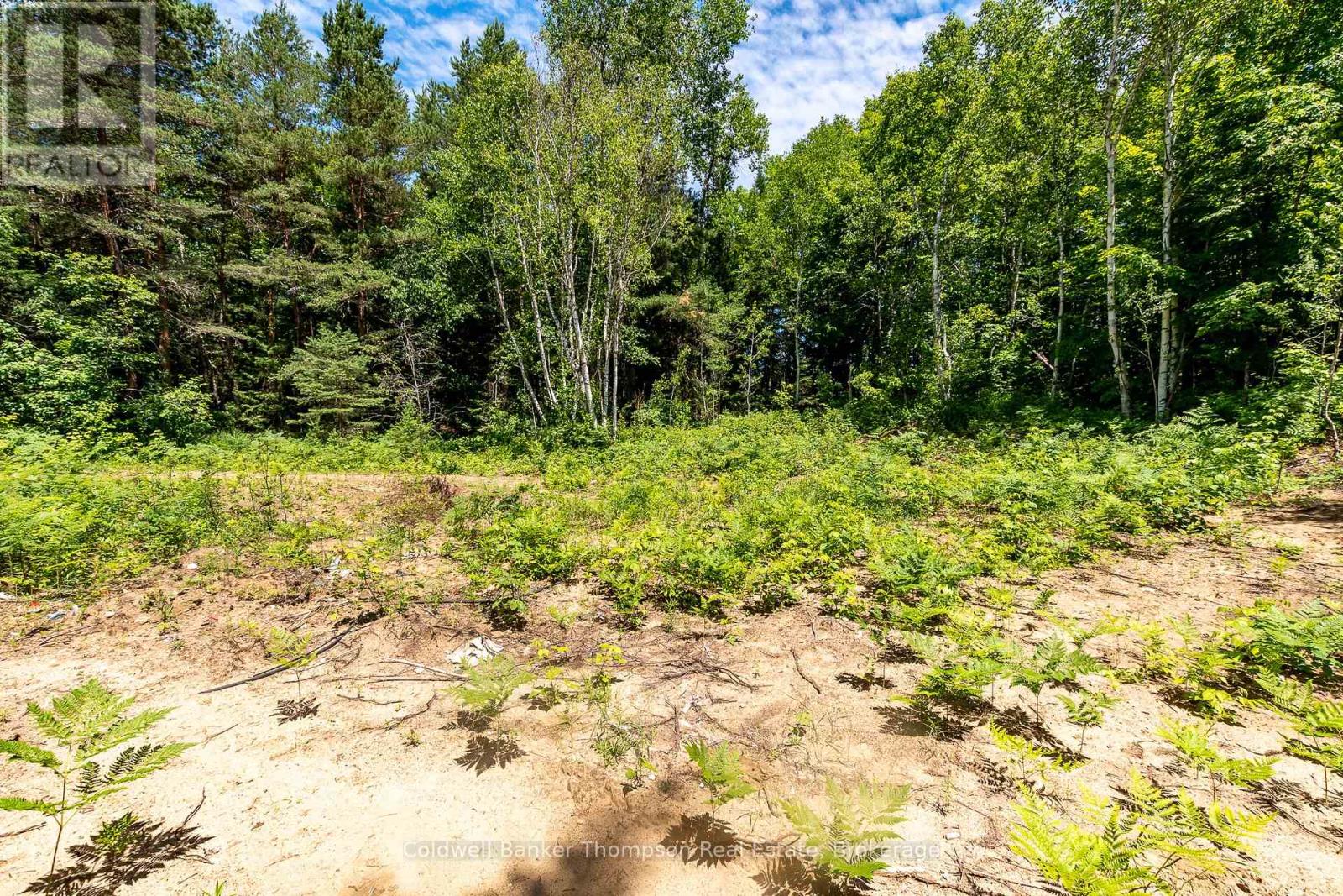 Lot 1 Emsdale Lake Road, Perry, Ontario  P0A 1J0 - Photo 22 - X12146697