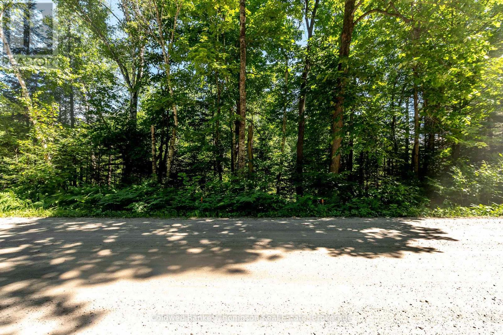 Lot 1 Emsdale Lake Road, Perry, Ontario  P0A 1J0 - Photo 4 - X12146697