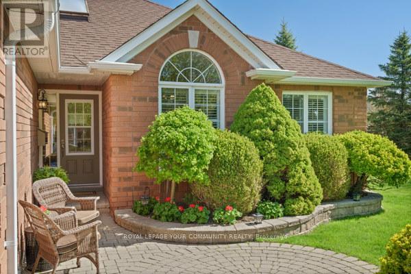 851 Shadrach Drive, Newmarket, Ontario  L3X 2H2 - Photo 5 - N12146796