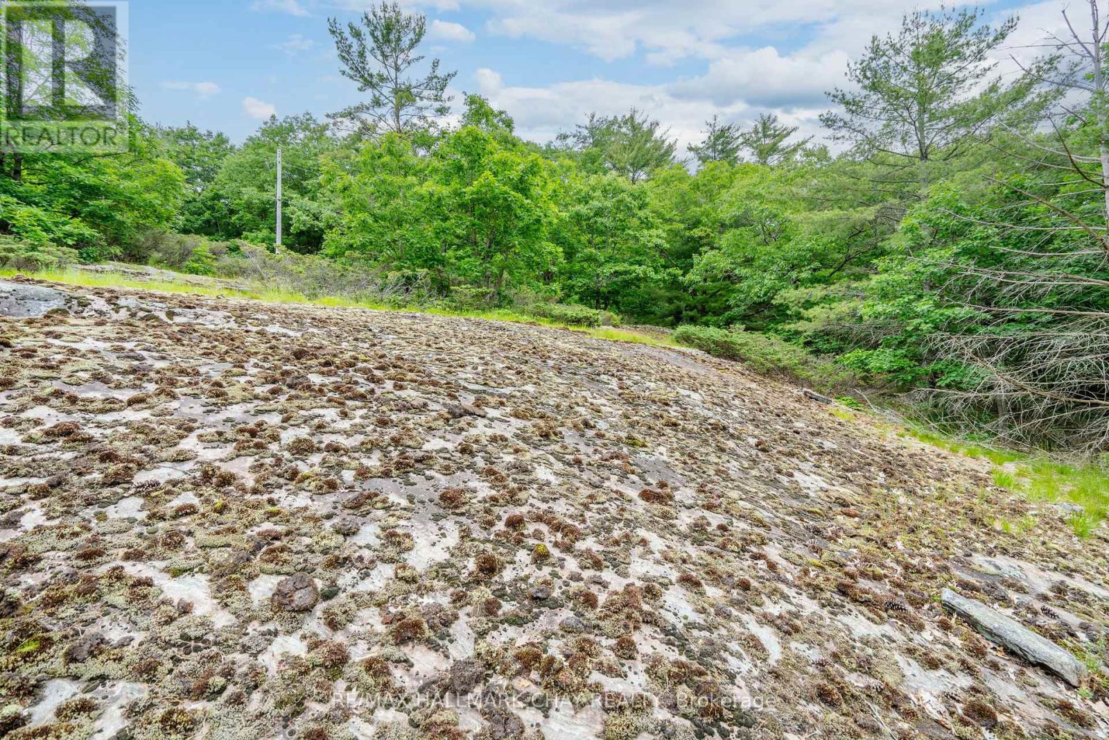 Lot 2 Delta Road, Severn, Ontario  L0K 2B0 - Photo 13 - S12146865