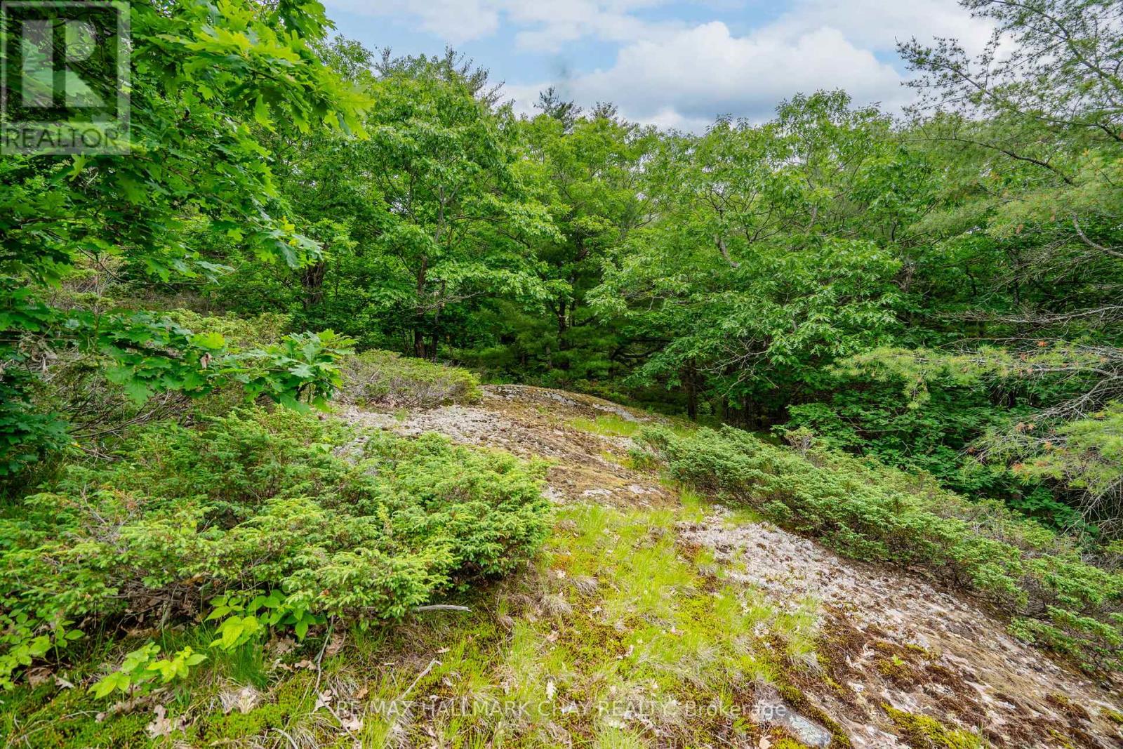 Lot 2 Delta Road, Severn, Ontario  L0K 2B0 - Photo 17 - S12146865