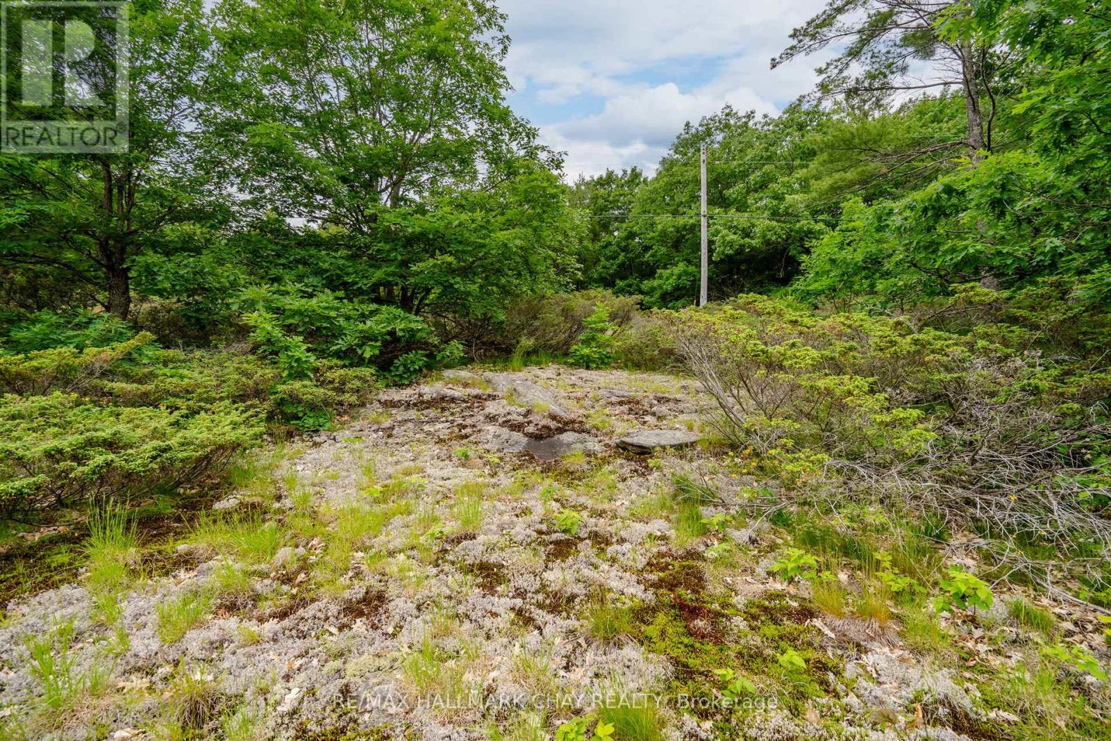 Lot 2 Delta Road, Severn, Ontario  L0K 2B0 - Photo 20 - S12146865