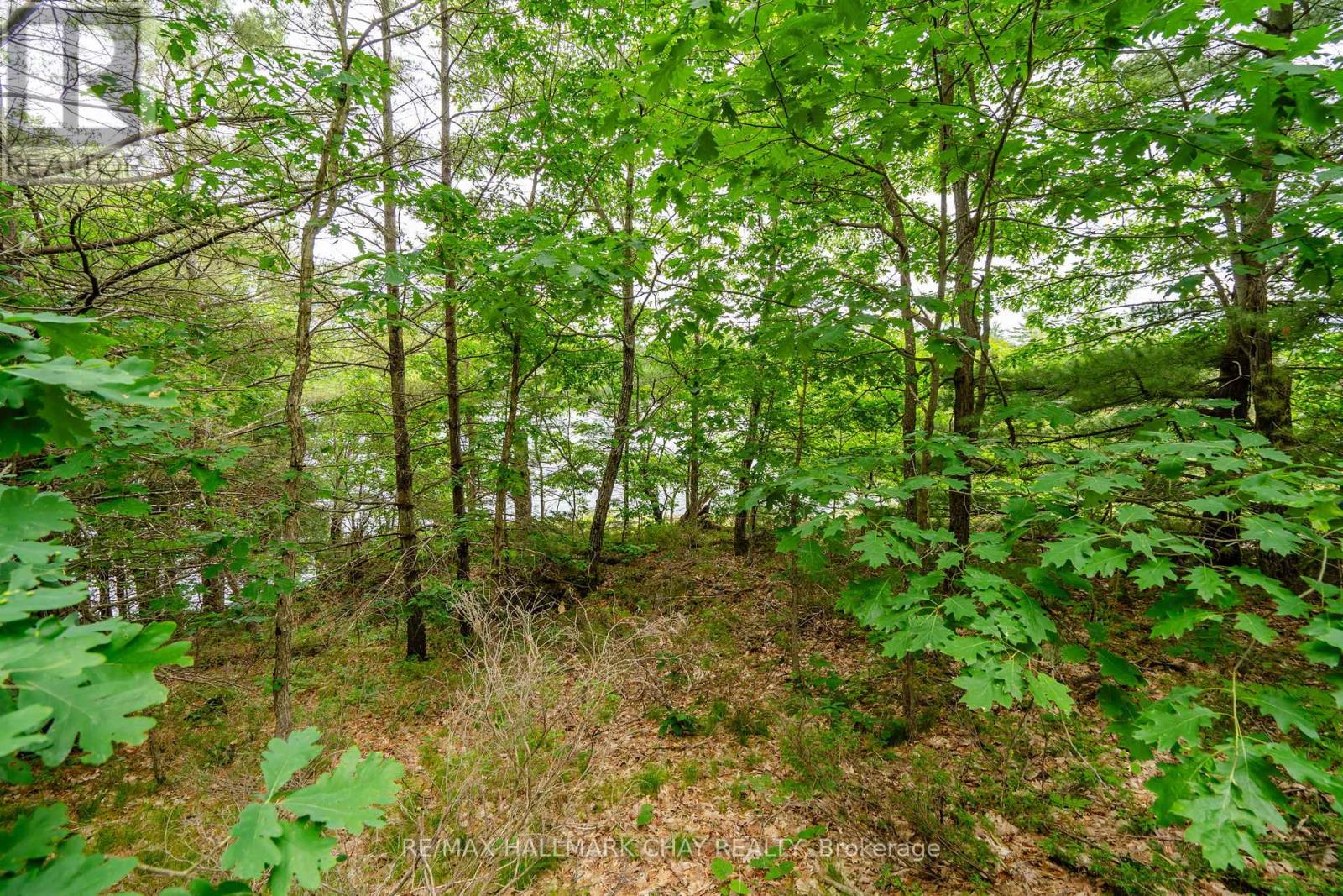 Lot 2 Delta Road, Severn, Ontario  L0K 2B0 - Photo 22 - S12146865