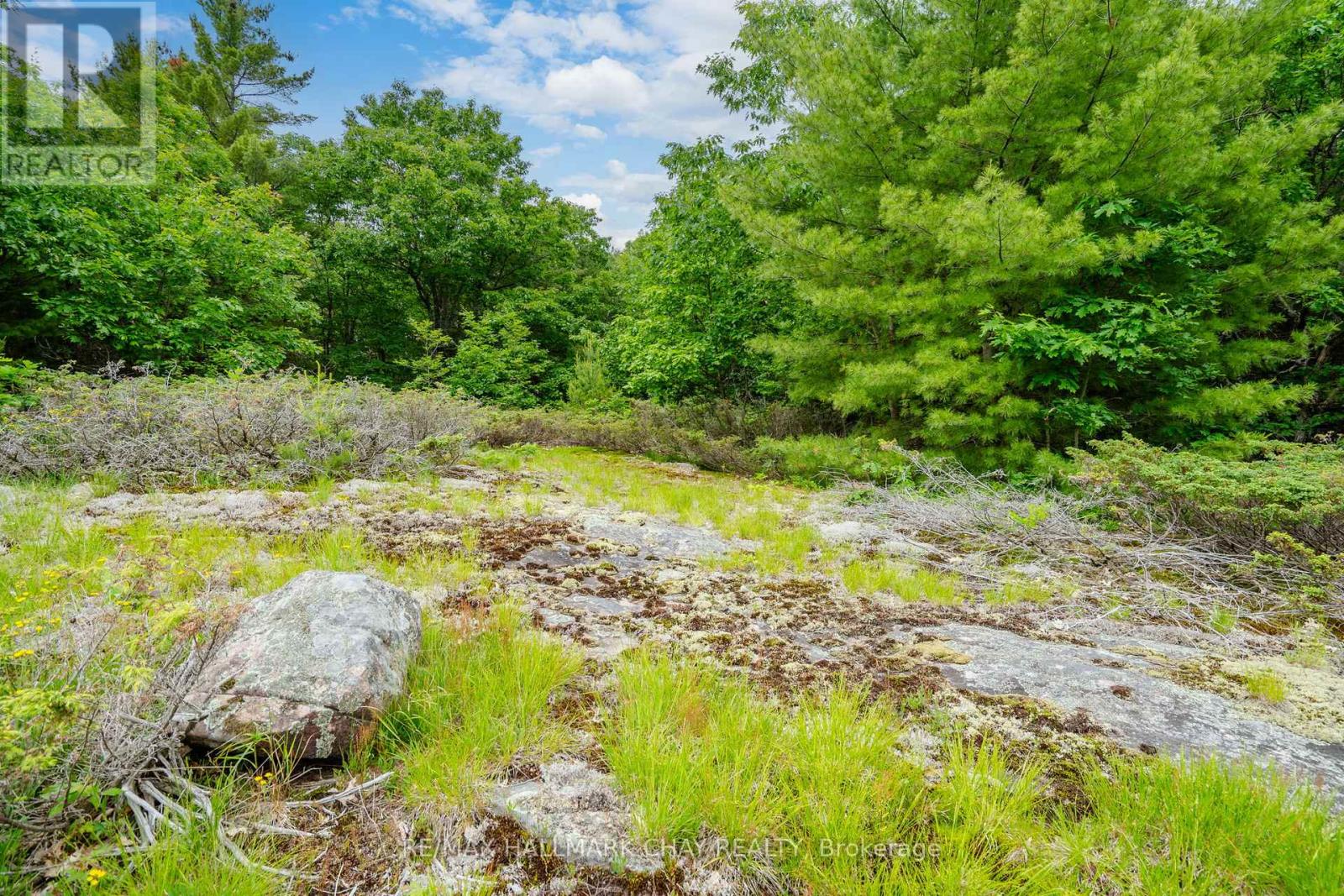 Lot 2 Delta Road, Severn, Ontario  L0K 2B0 - Photo 27 - S12146865