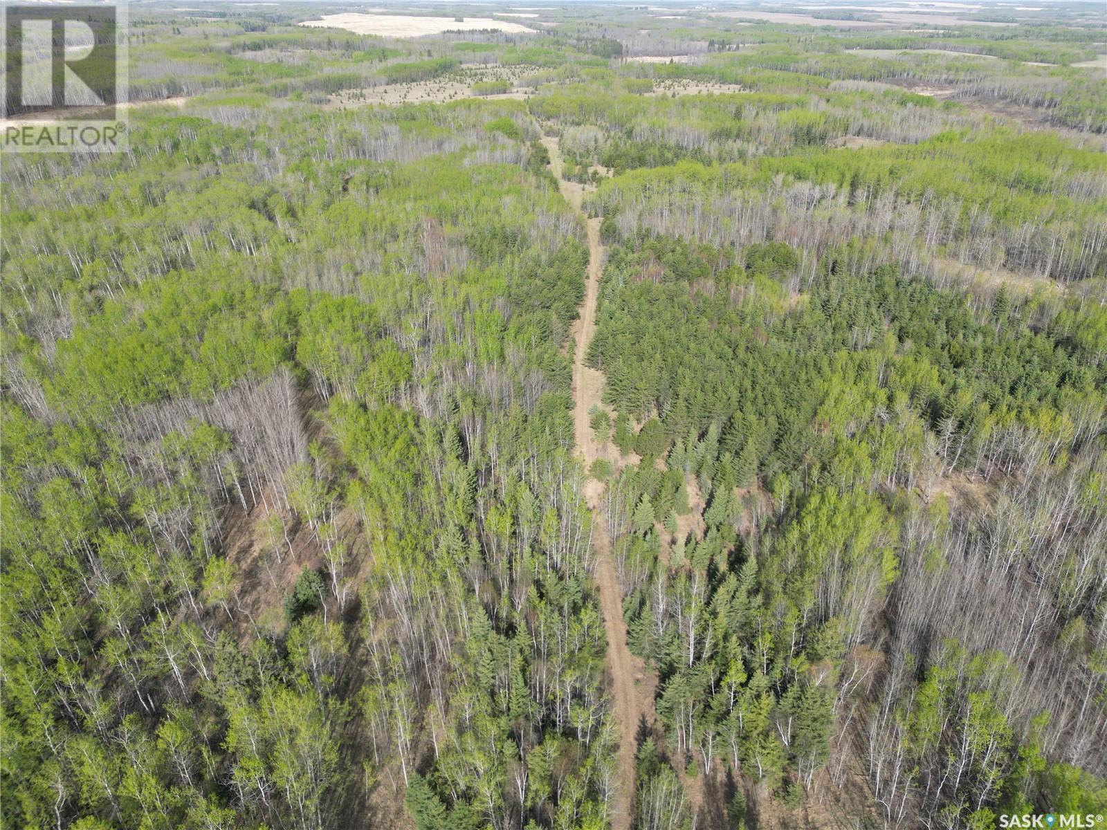 Lalonde Quarter, Spiritwood Rm No. 496, Saskatchewan  S0J 2M0 - Photo 10 - SK005682
