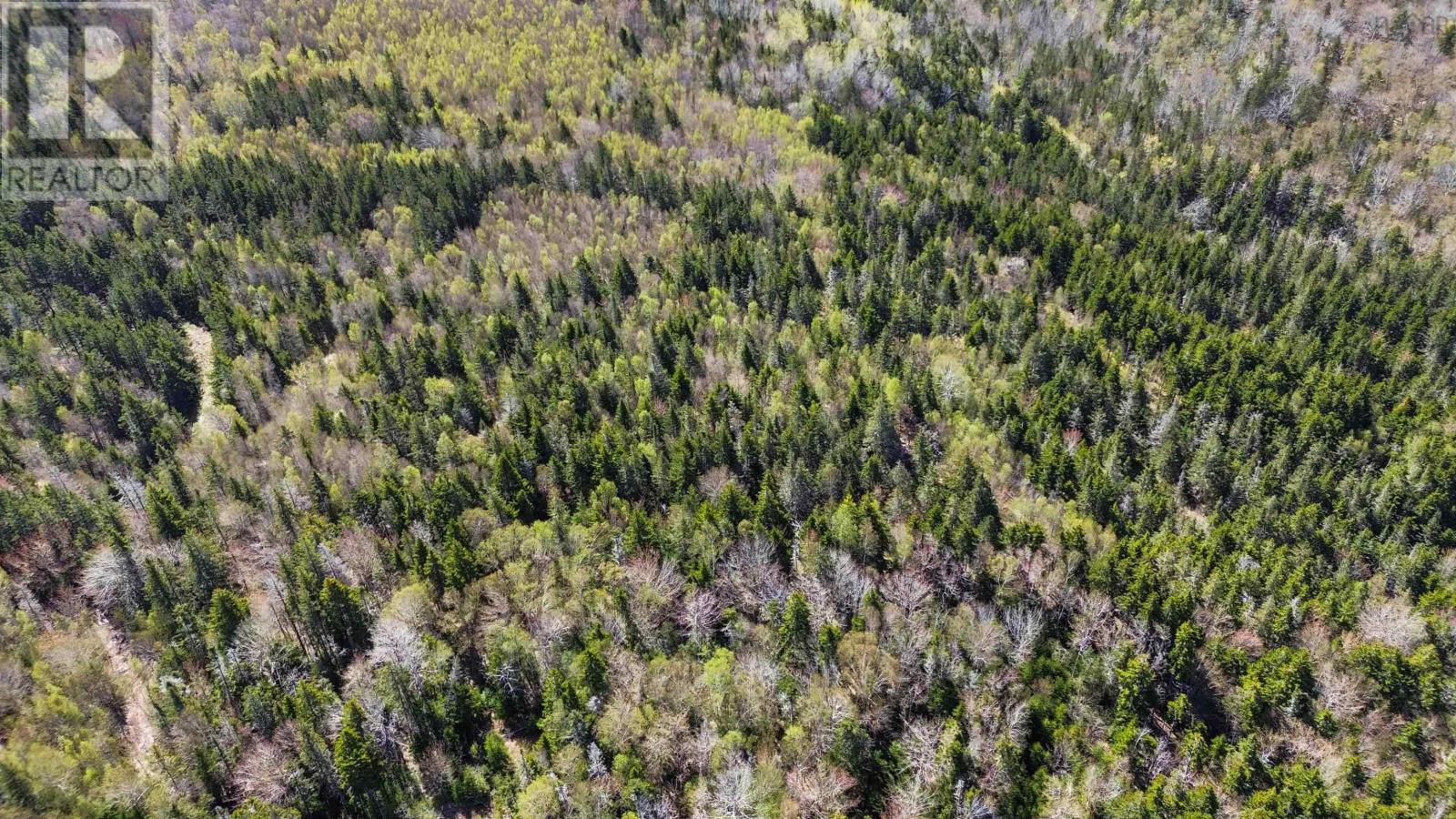 Lot Port Lorne Road, Port Lorne, Nova Scotia  B0S 1R0 - Photo 8 - 202510927