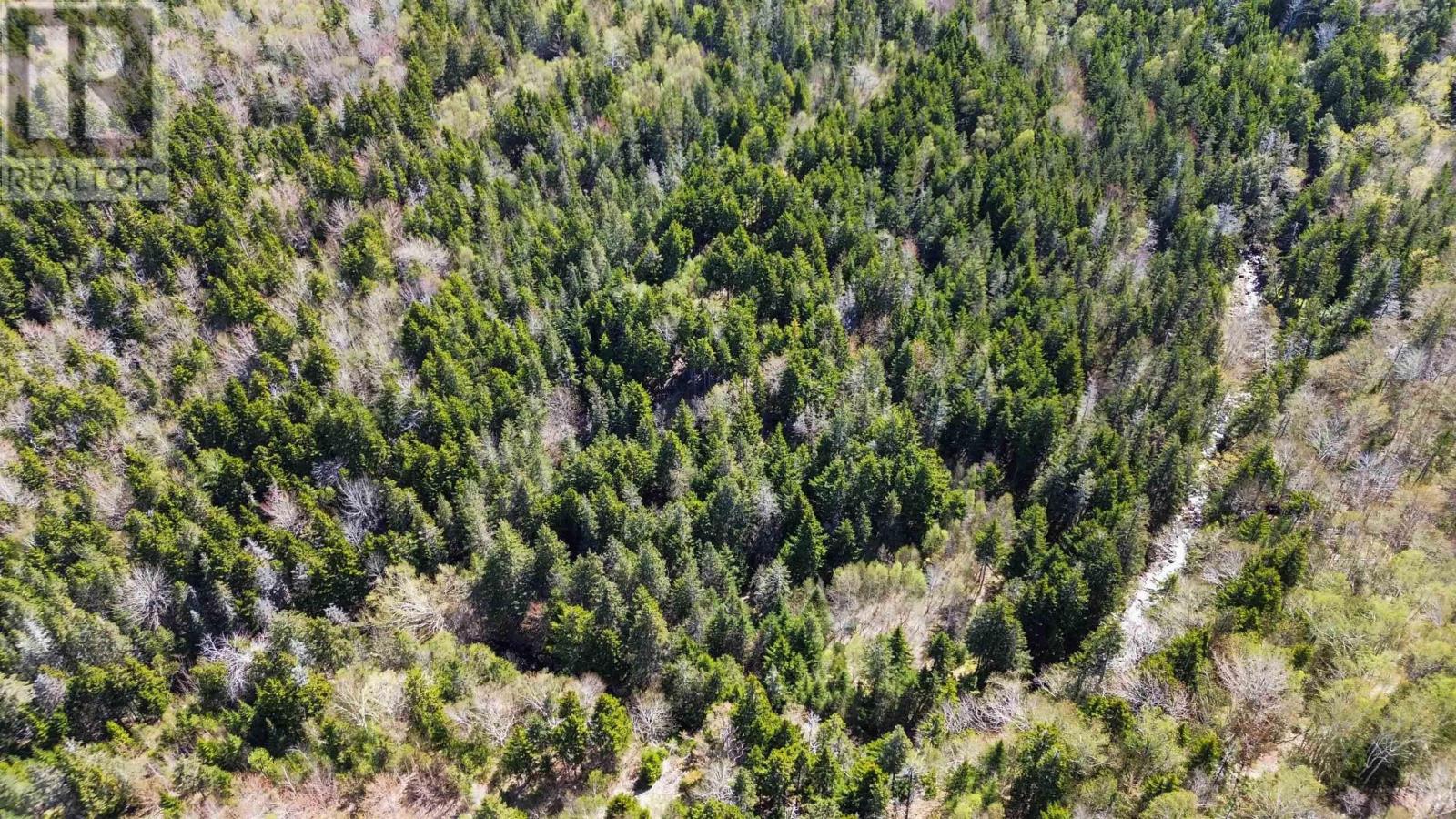 Lot Port Lorne Road, Port Lorne, Nova Scotia  B0S 1R0 - Photo 9 - 202510927