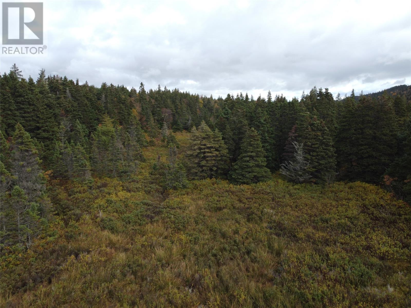287-291 North River Road, North River, Newfoundland & Labrador  A0A 3G0 - Photo 7 - 1285018