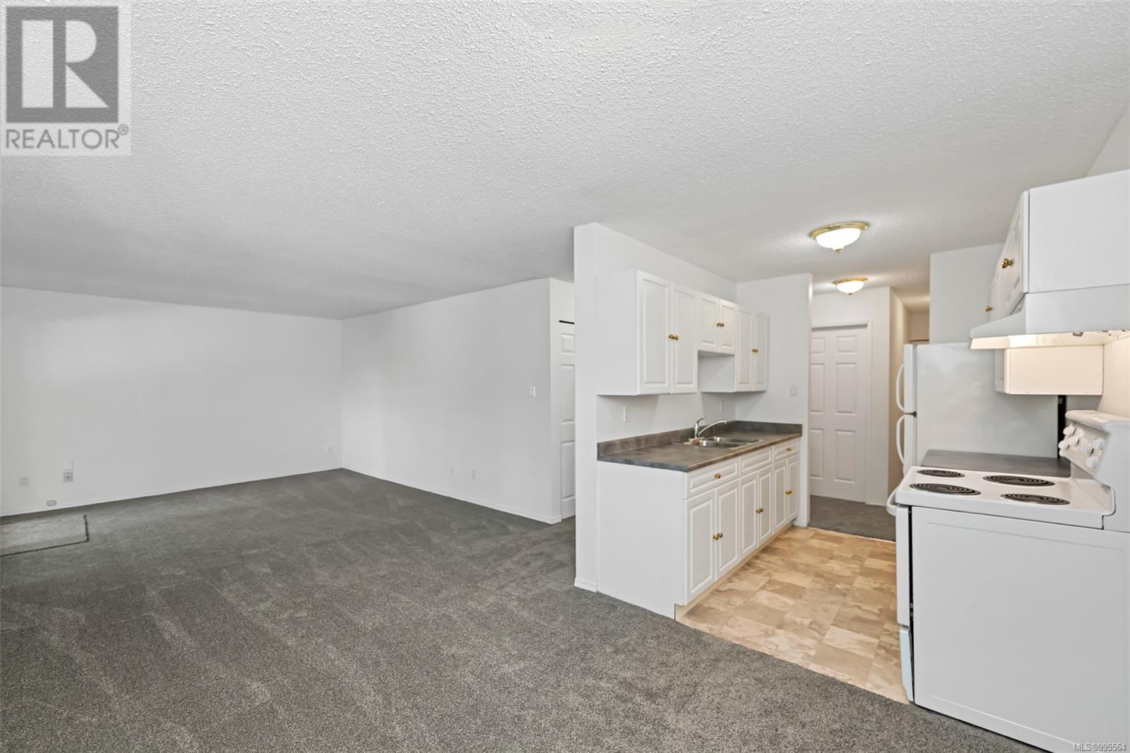 207 909 Pembroke St, Victoria, British Columbia  V8T 4Z5 - Photo 15 - 995564