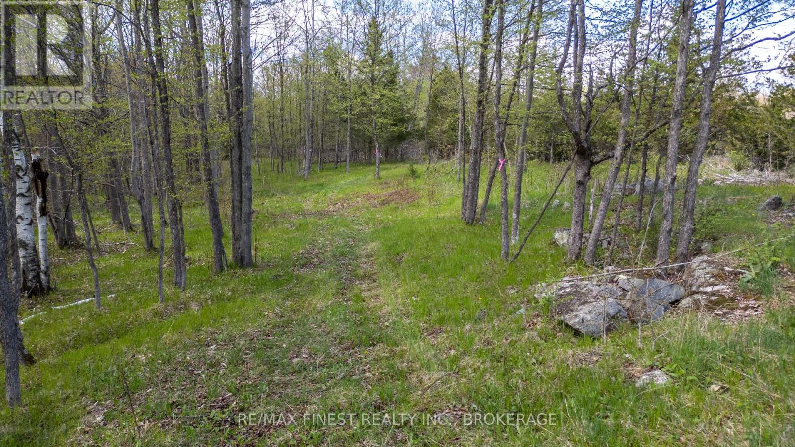721 Church Road, Stone Mills, Ontario  K0K 1Z0 - Photo 49 - X12146586