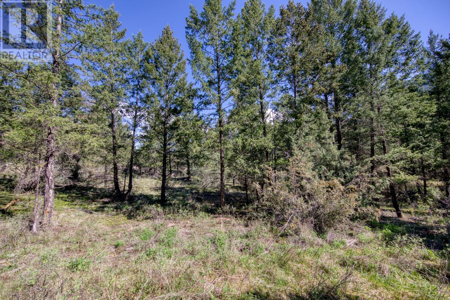 Lot 43 Cooper Road, Windermere, British Columbia  V0B 2L0 - Photo 10 - 10347466