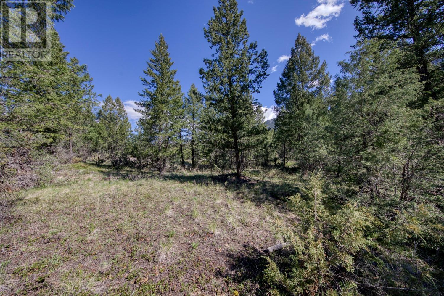 Lot 43 Cooper Road, Windermere, British Columbia  V0B 2L0 - Photo 12 - 10347466
