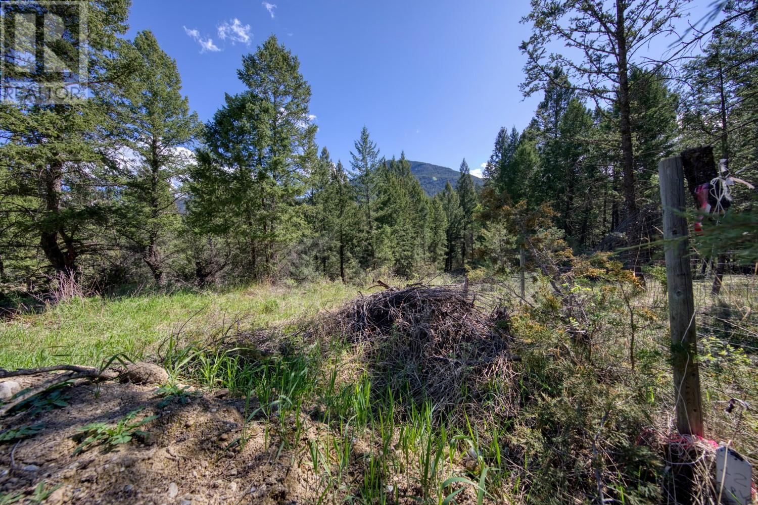 Lot 43 Cooper Road, Windermere, British Columbia  V0B 2L0 - Photo 9 - 10347466