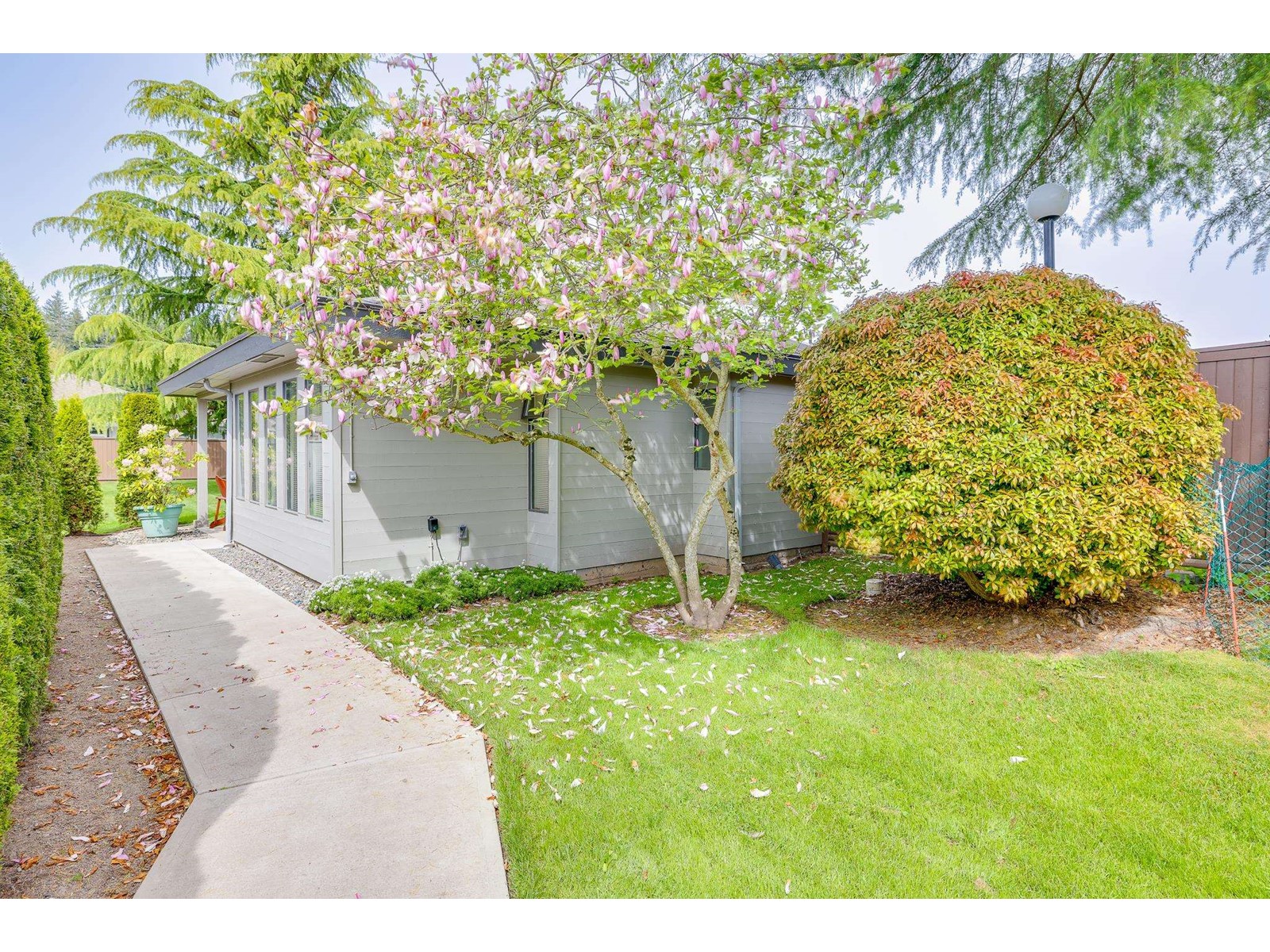 4 14235 18a Avenue, Surrey, British Columbia  V4A 7N8 - Photo 37 - R2998408