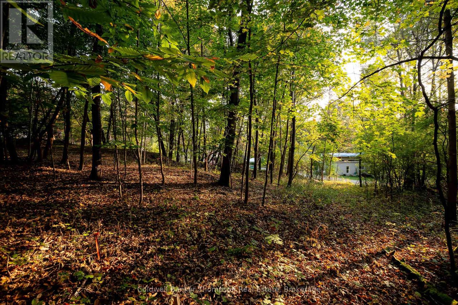 8 Rice Lane, Huntsville, Ontario  P1H 1V4 - Photo 8 - X12147426