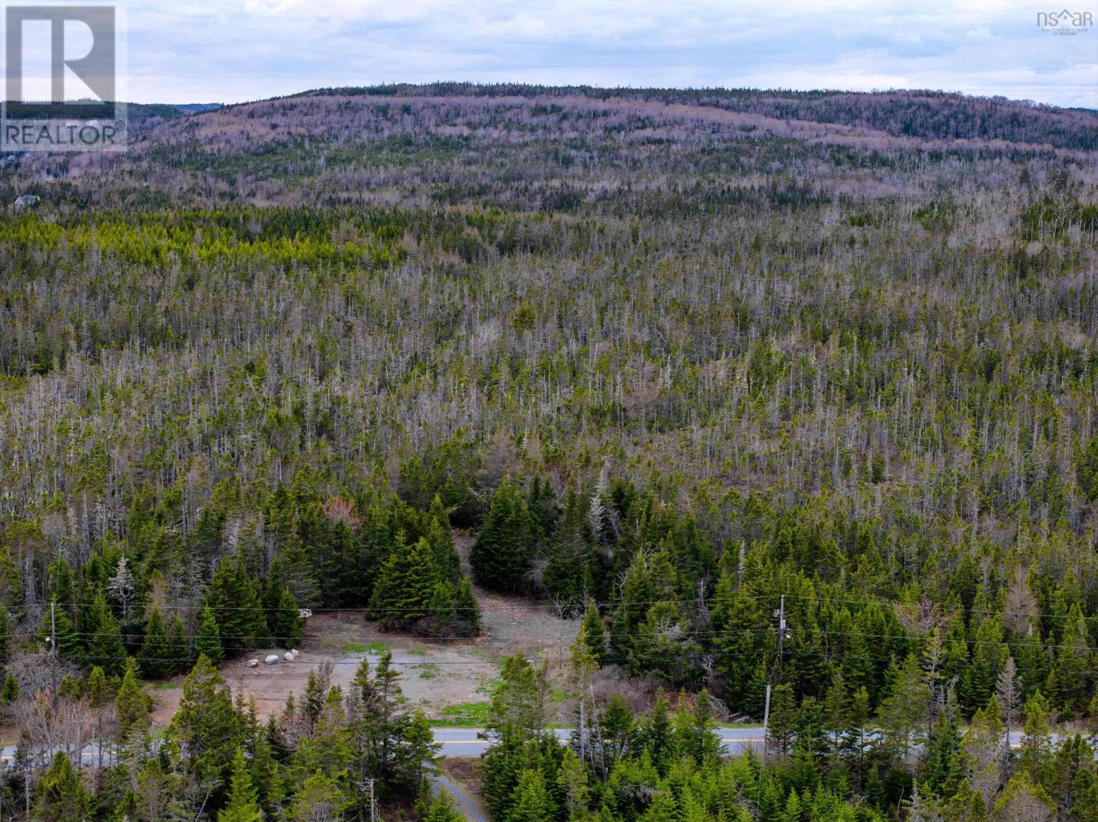 607 Mushaboom Road, Mushaboom, Nova Scotia  B0J 3H0 - Photo 7 - 202510695