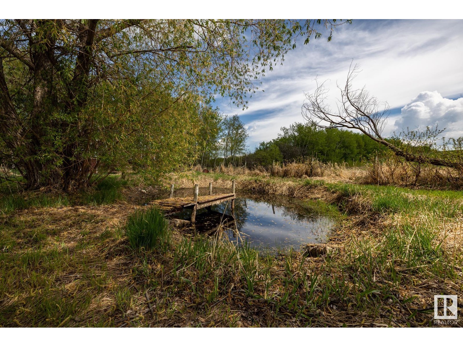 51139 Rge Road 231, Rural Strathcona County, Alberta  T8B 1K5 - Photo 48 - E4436313