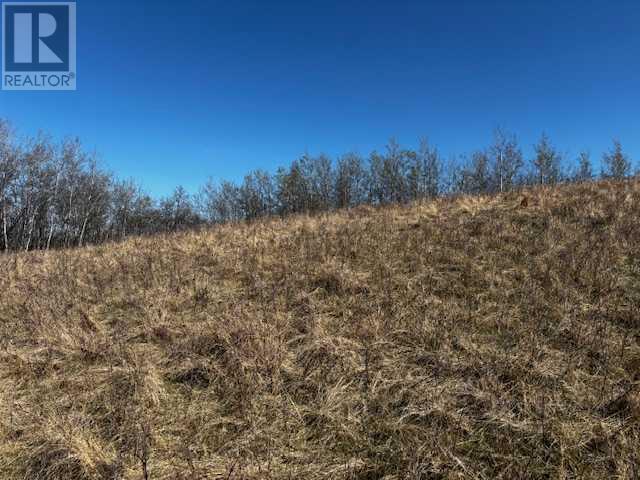 23425 Highway 590, Rural Red Deer County, Alberta  T0M 0Y0 - Photo 5 - A2217221