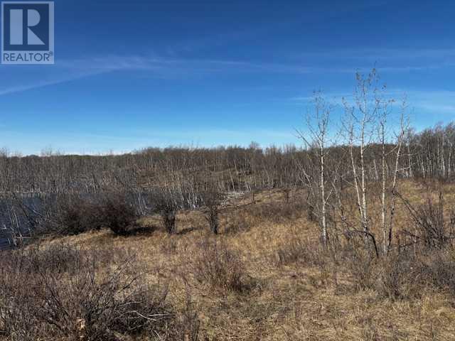 23425 Highway 590, Rural Red Deer County, Alberta  T0M 0Y0 - Photo 3 - A2217221
