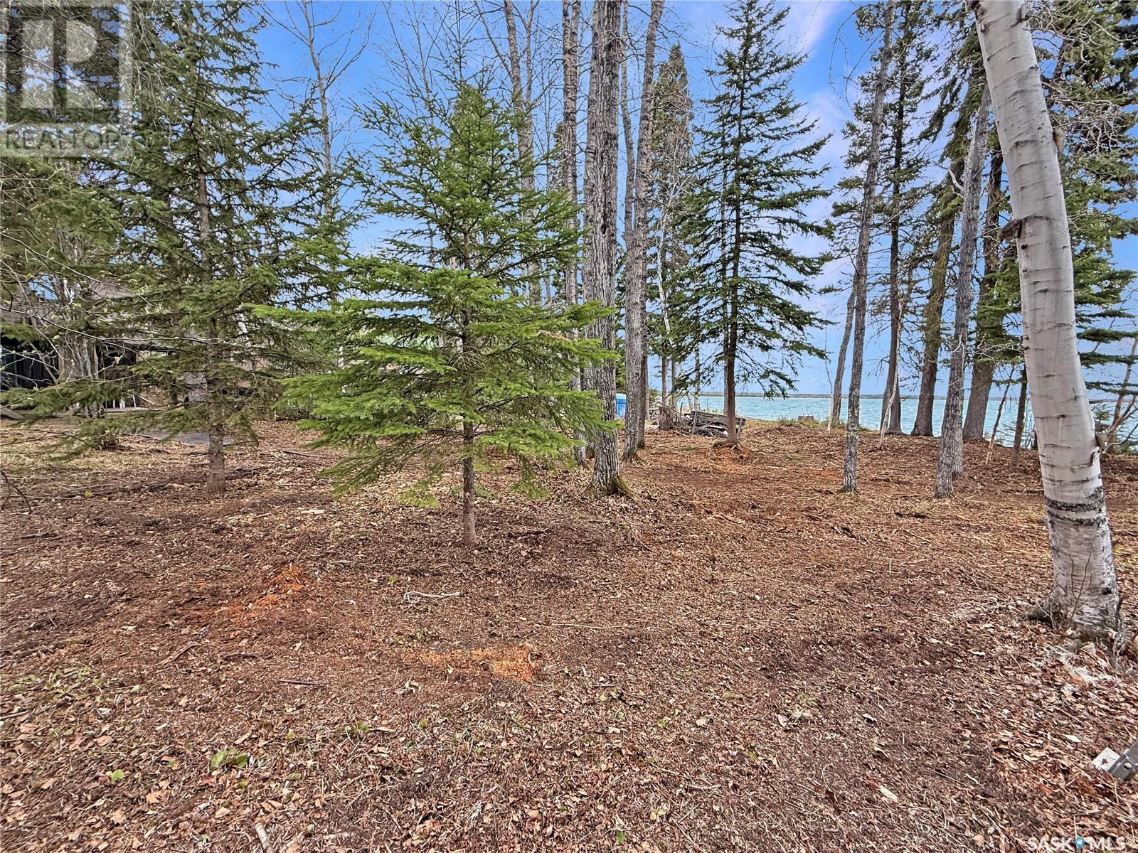 8 Beskal Place, Candle Lake, Saskatchewan  S0J 3E0 - Photo 39 - SK999670