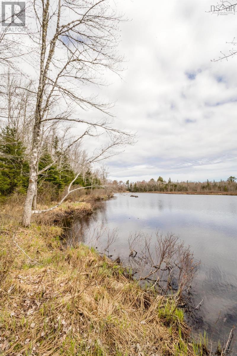 Lot 2021 Butler Road, Murphy Lake, Nova Scotia  B4N 3V8 - Photo 28 - 202510405